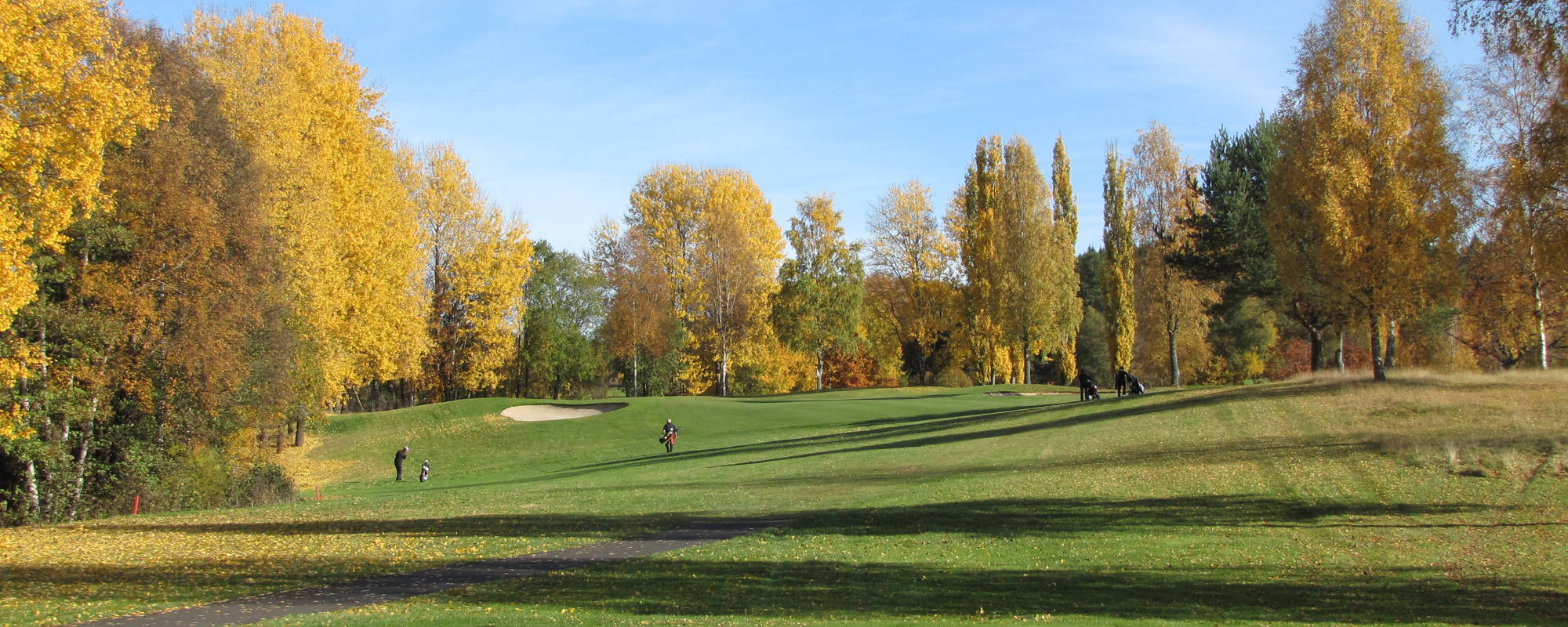 15 Tee
