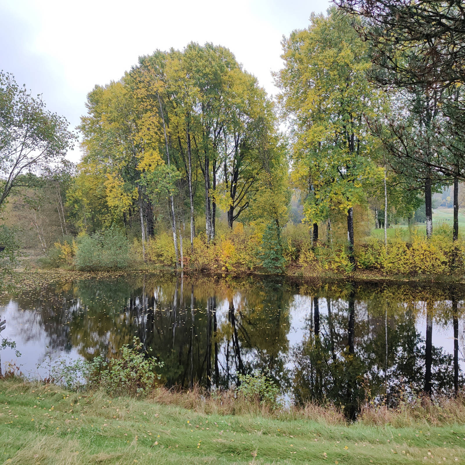 IMG 20211007 124203 002