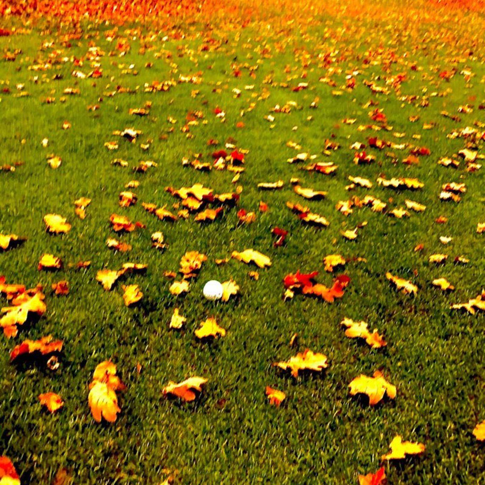 106170158 1974140989385552 4722046949382194550 N