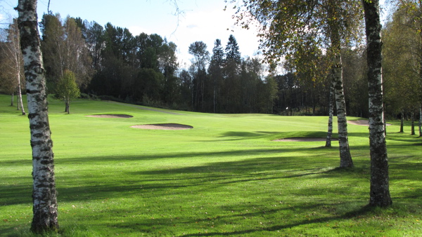 Frivilliga arbetsdagar 2026